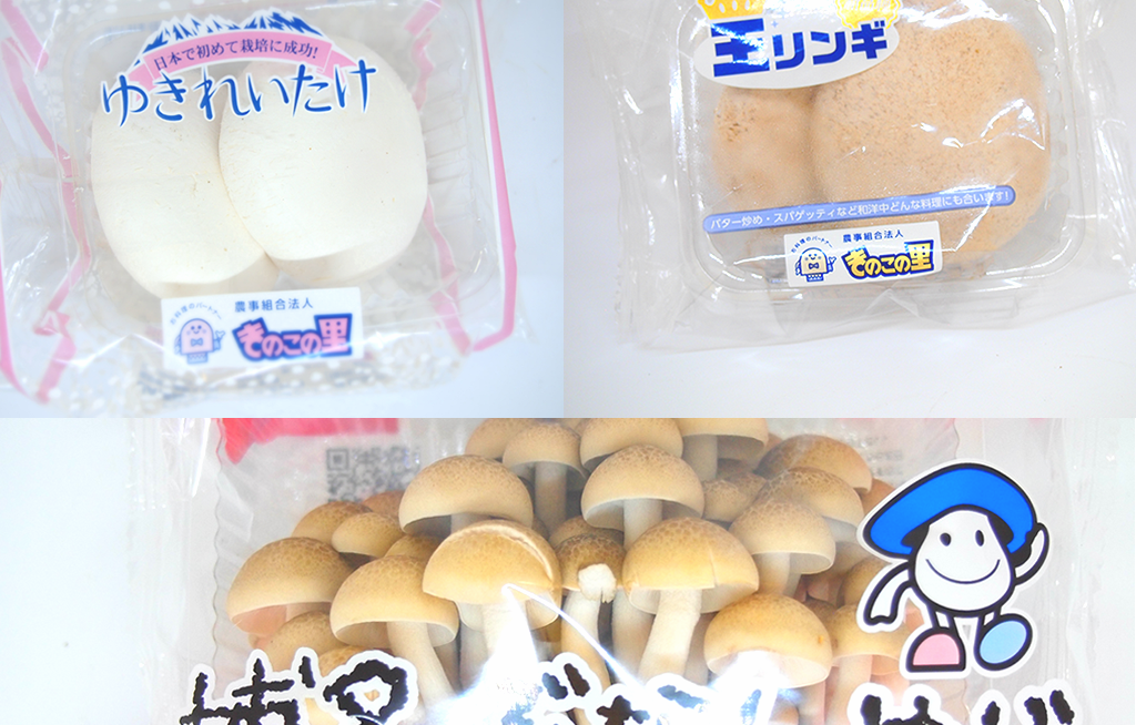 きのこの里　栽培きのこ商品