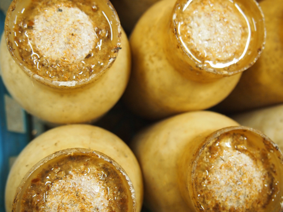 きのこ栽培　菌掻き