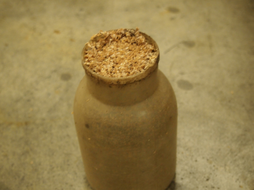 きのこ栽培　接種