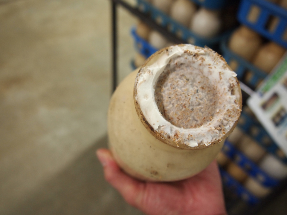 きのこ栽培　熟成培養