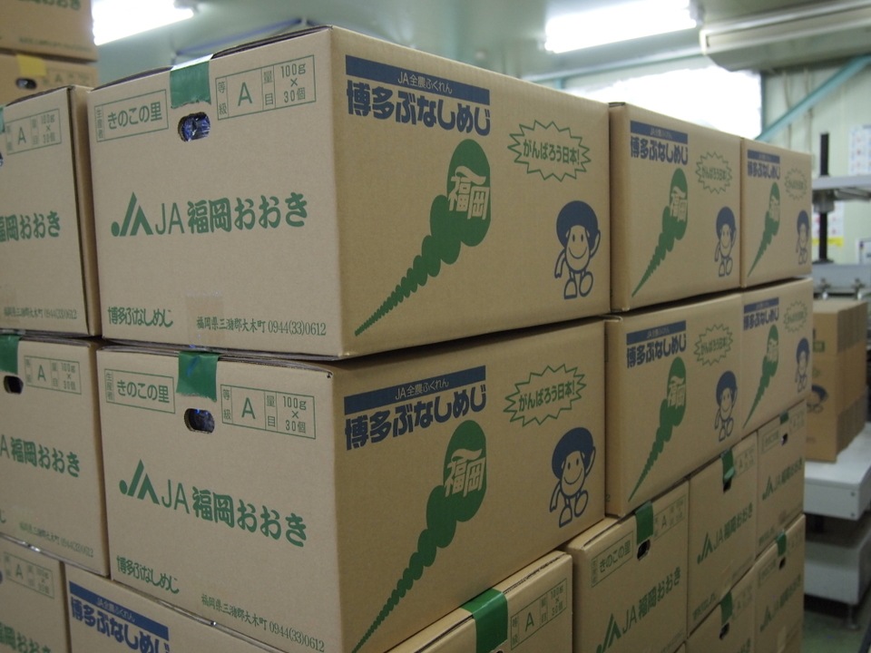 きのこの里　出荷配送